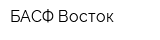 БАСФ Восток