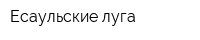 Есаульские луга