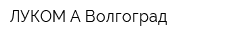 ЛУКОМ-А-Волгоград