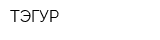 ТЭГУР