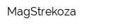 MagStrekoza