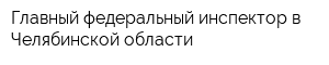 Главный федеральный инспектор в Челябинской области