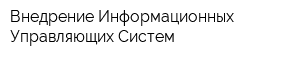 Внедрение Информационных Управляющих Систем