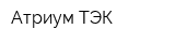 Атриум ТЭК