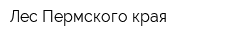 Лес Пермского края