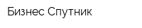 Бизнес-Спутник