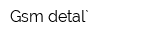 Gsm-detal`