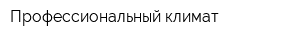 Профессиональный климат