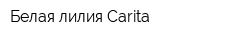 Белая лилия-Carita