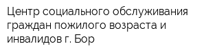 Центр социального обслуживания граждан пожилого возраста и инвалидов г Бор