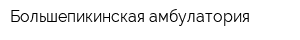 Большепикинская амбулатория