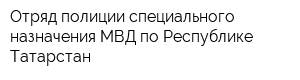 Отряд полиции специального назначения МВД по Республике Татарстан