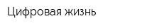 Цифровая жизнь