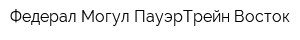 Федерал-Могул ПауэрТрейн Восток