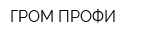 ГРОМ-ПРОФИ