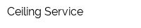 Ceiling Service