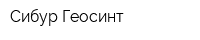 Сибур Геосинт