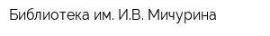 Библиотека им ИВ Мичурина