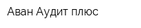 Аван-Аудит плюс