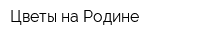 Цветы на Родине