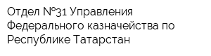 Отдел  31 Управления Федерального казначейства по Республике Татарстан