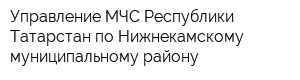 Управление МЧС Республики Татарстан по Нижнекамскому муниципальному району
