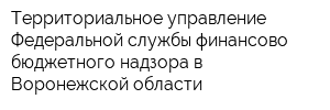 Территориальное управление Федеральной службы финансово-бюджетного надзора в Воронежской области