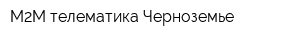 М2М телематика-Черноземье
