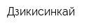 Дзикисинкай