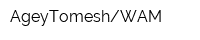 AgeyTomeshWAM