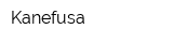 Kanefusa