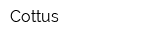 Cottus