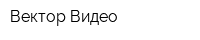 Вектор-Видео
