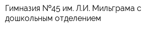 Гимназия  45 им ЛИ Мильграма с дошкольным отделением