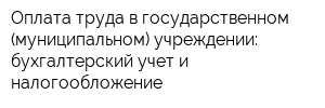 Оплата труда в государственном (муниципальном) учреждении: бухгалтерский учет и налогообложение