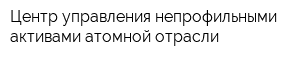 Центр управления непрофильными активами атомной отрасли