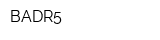 BADR5