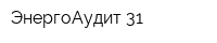 ЭнергоАудит 31