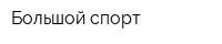Большой спорт