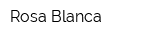 Rosa Blanca