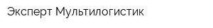 Эксперт Мультилогистик