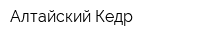 Алтайский Кедр