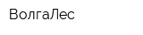 ВолгаЛес