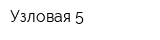 Узловая 5