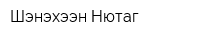 Шэнэхээн Нютаг