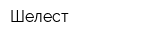 Шелест