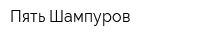Пять Шампуров