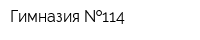 Гимназия  114