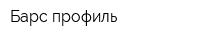 Барс-профиль
