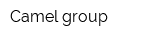 Camel group